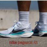 nike pegasus 41