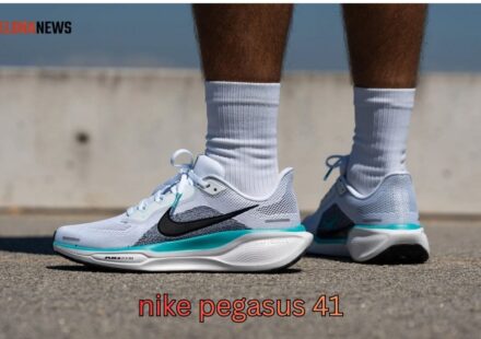 nike pegasus 41