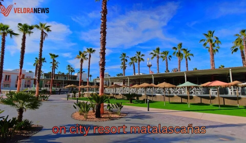 On City Resort Matalascañas: guía completa on city resort matalascañas
