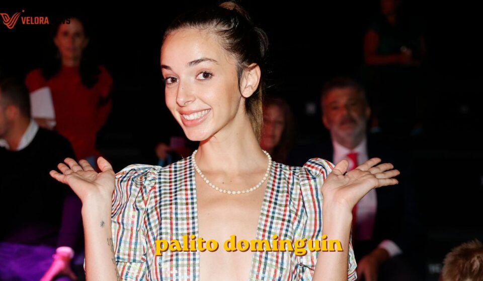 Palito Dominguín: Biography, Career and Life Today palito dominguin